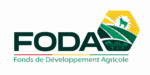 Logo foda